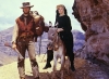 two mules